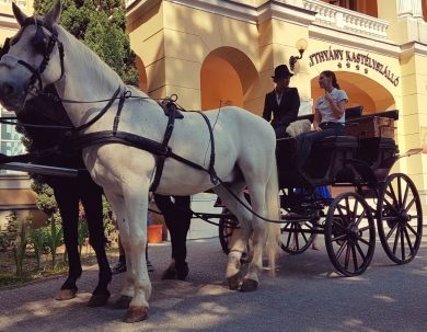 Pünkösdi Király Napok Pünkösdi Király Napok